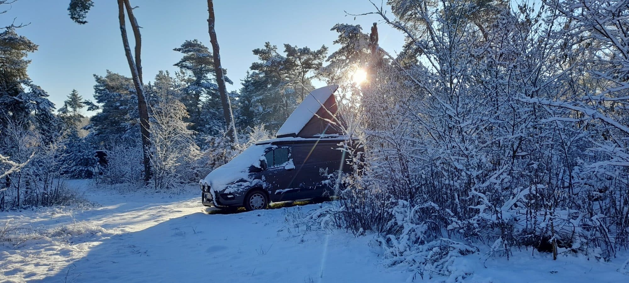 Van im Schnee, die Wintersonne steht tief zwischen den Kiefern