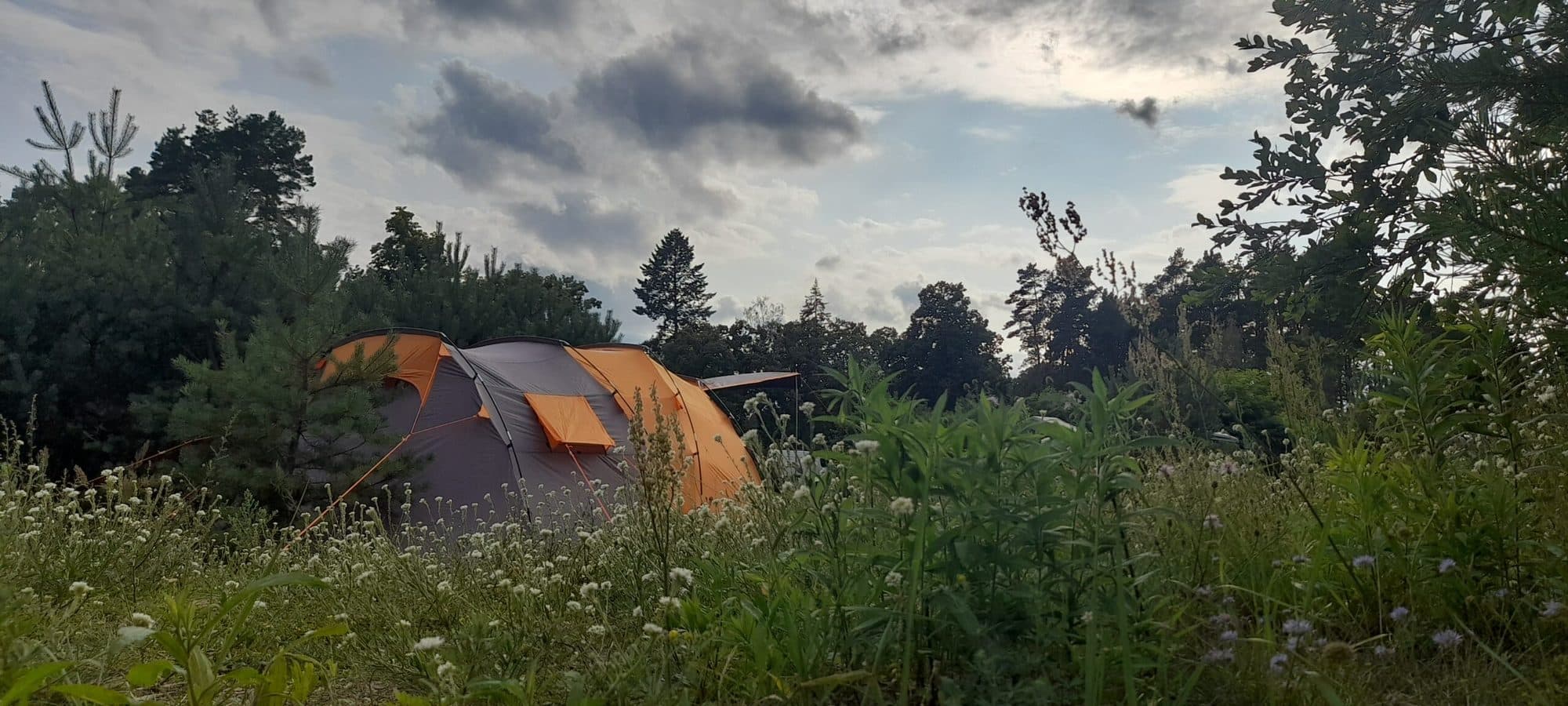 Einzelnes Zelt in der hohen Wiese unter bewölktem Abendhimmel