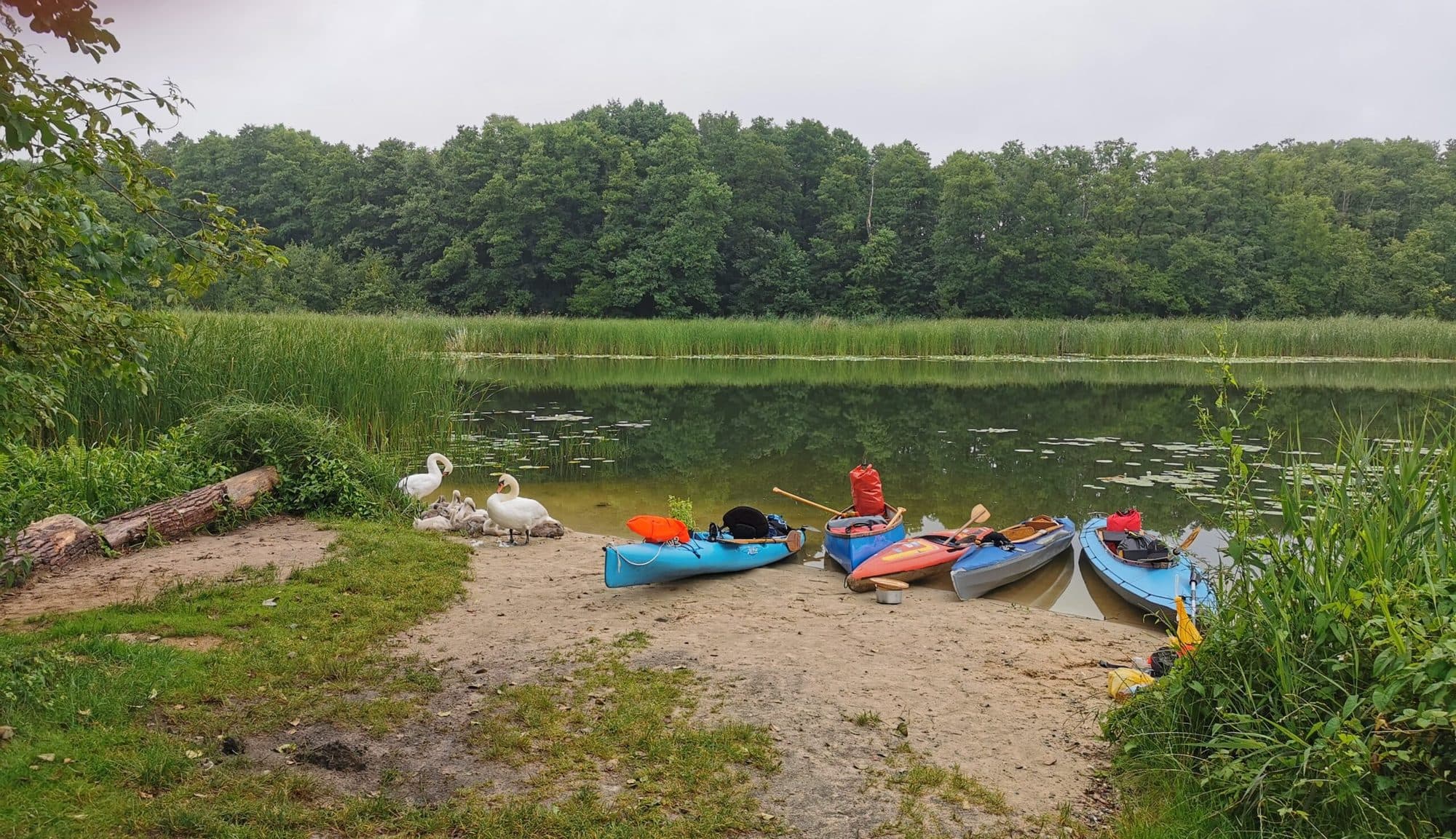 Sandstrand an der Havel, am Ufer liegen bunte Kajaks
