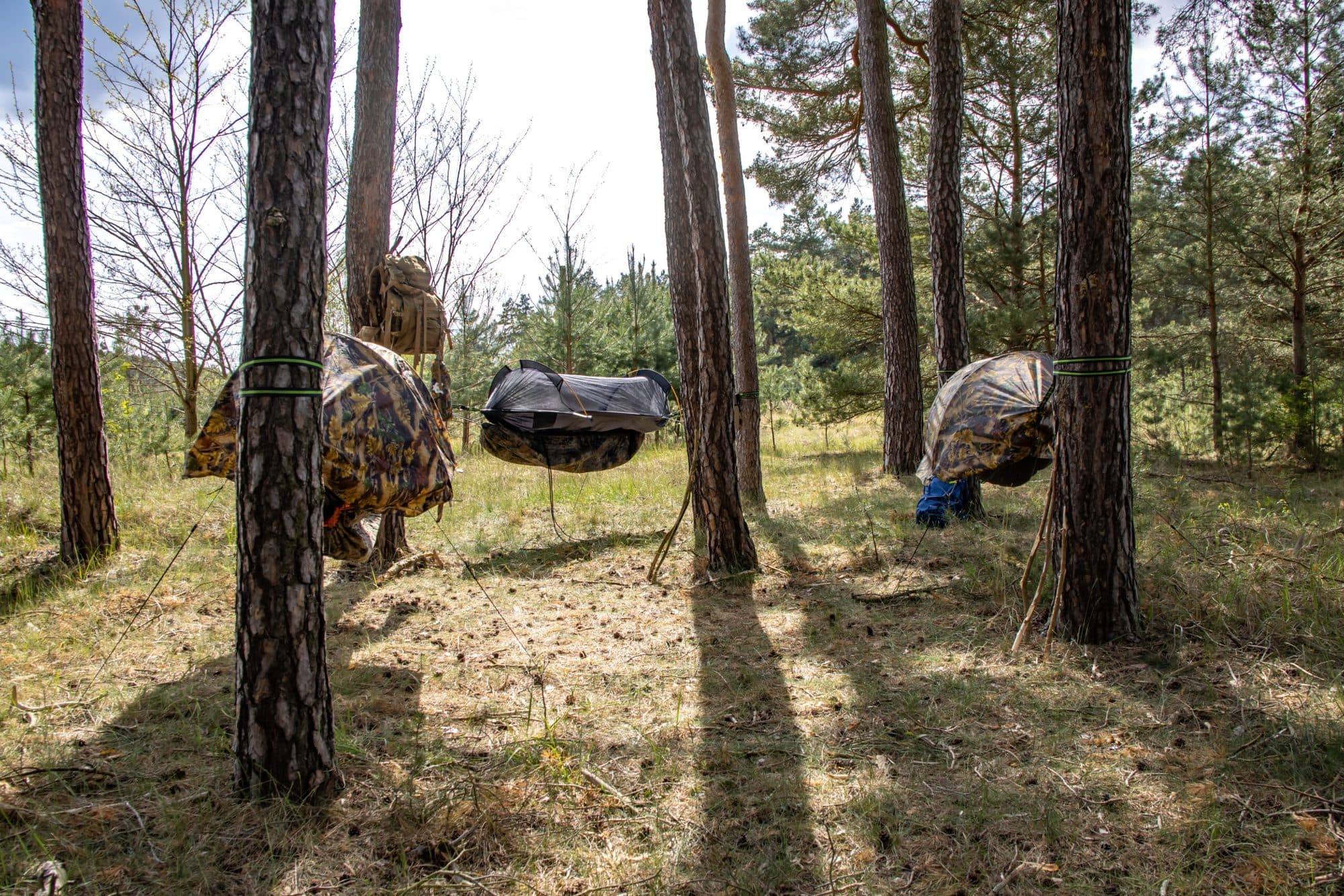 Hängematten zwischen Kiefernstämmen im Bushcraft-Areal